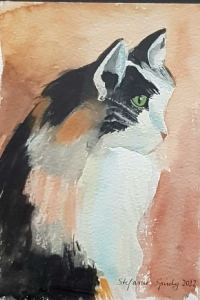 Katze2
